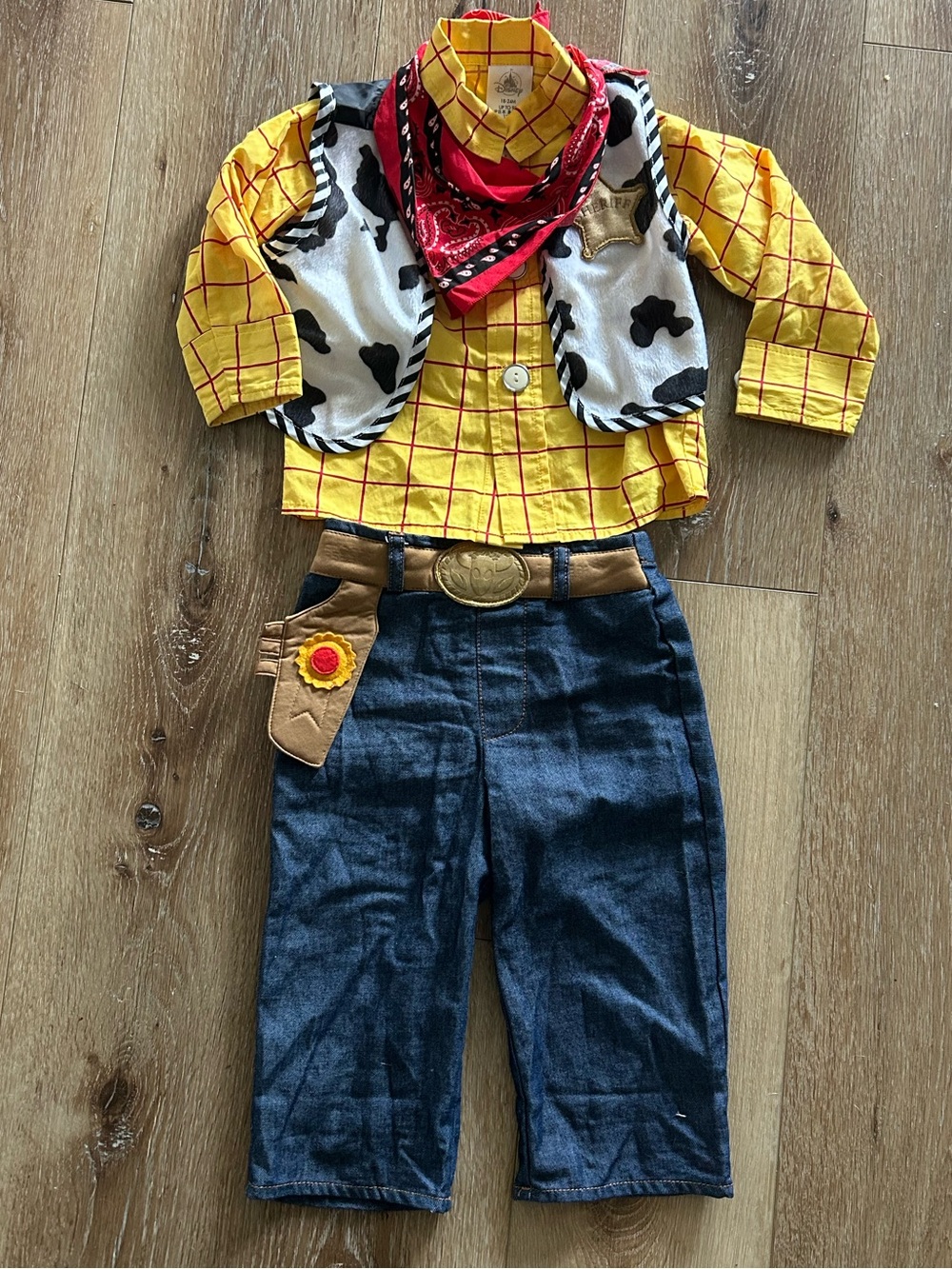 Disney Woody To Story Cowboy Costume Set - Yellow, Red, Black, Blue